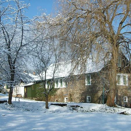 Apartman Dvorecna Loučovice エクステリア 写真