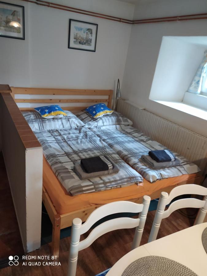 Apartman Dvorecna Loučovice エクステリア 写真