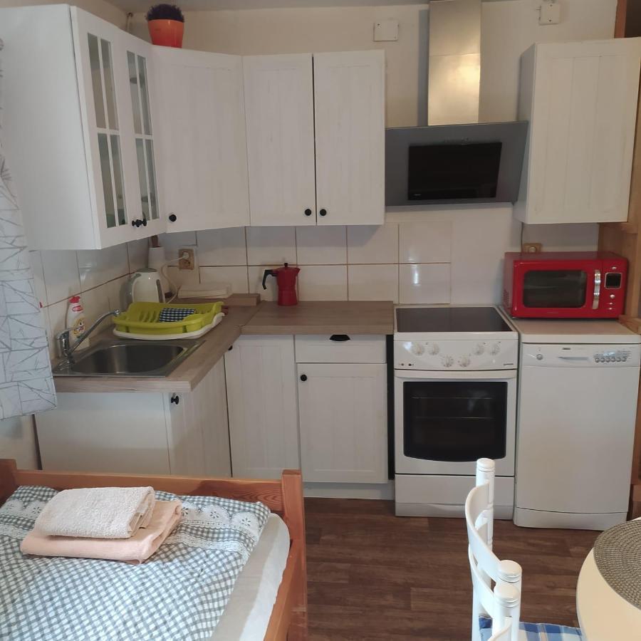 Apartman Dvorecna Loučovice エクステリア 写真