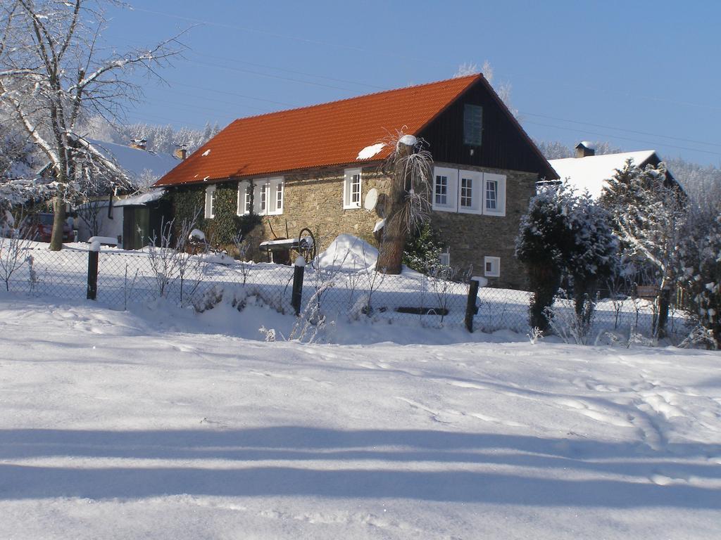 Apartman Dvorecna Loučovice エクステリア 写真