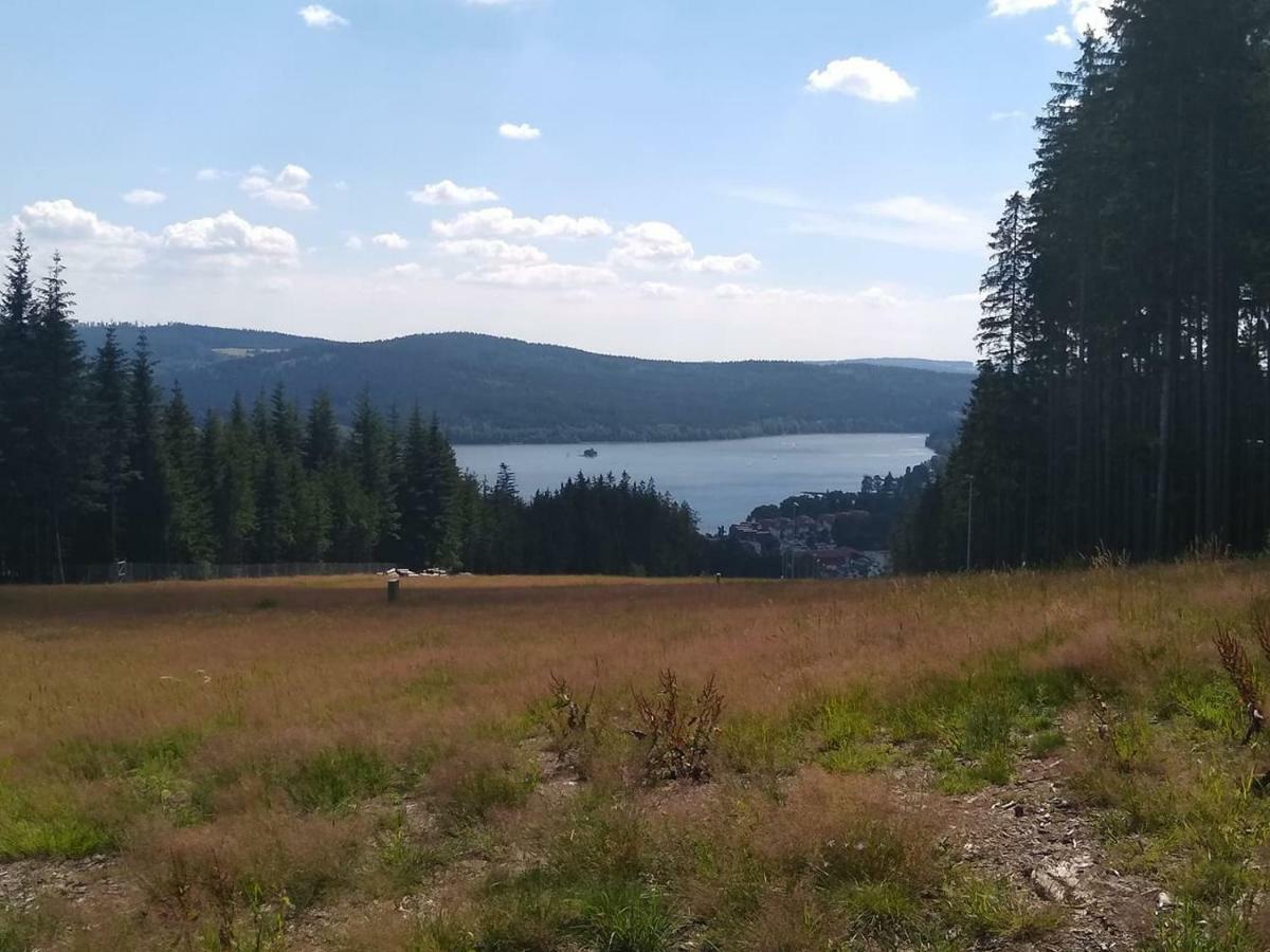 Apartman Dvorecna Loučovice エクステリア 写真