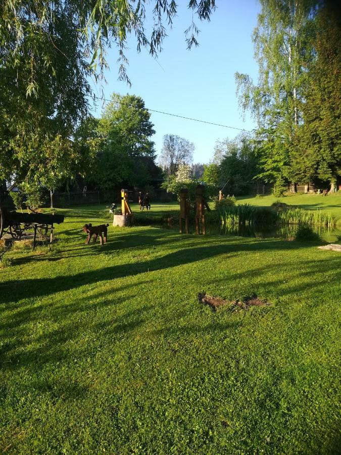 Apartman Dvorecna Loučovice エクステリア 写真